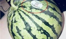 网红吃瓜冰棍是真的吗,真相揭秘，是炒作还是美味新宠？